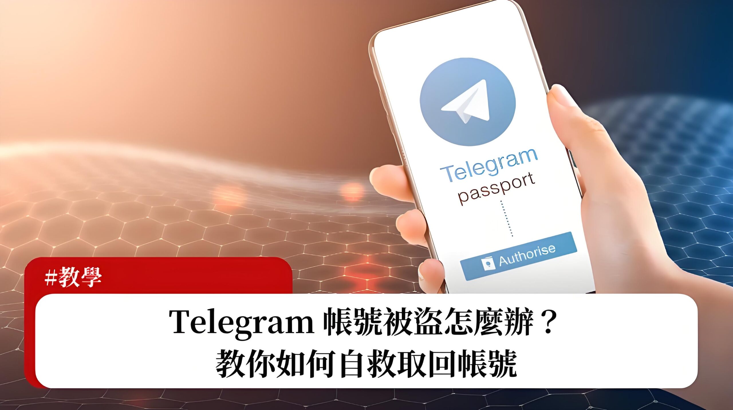 Telegram被盗如何快速找回账号?-Telegram中文官网 - 纸飞机中文资讯网