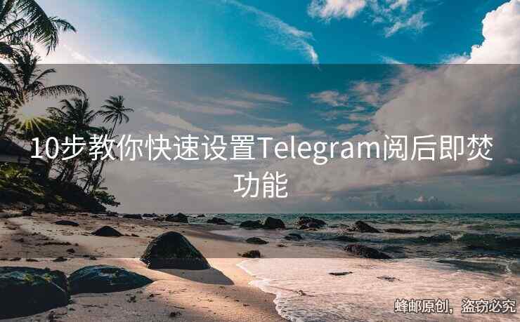 Telegram阅后即焚聊天功能详解，保护隐私必备