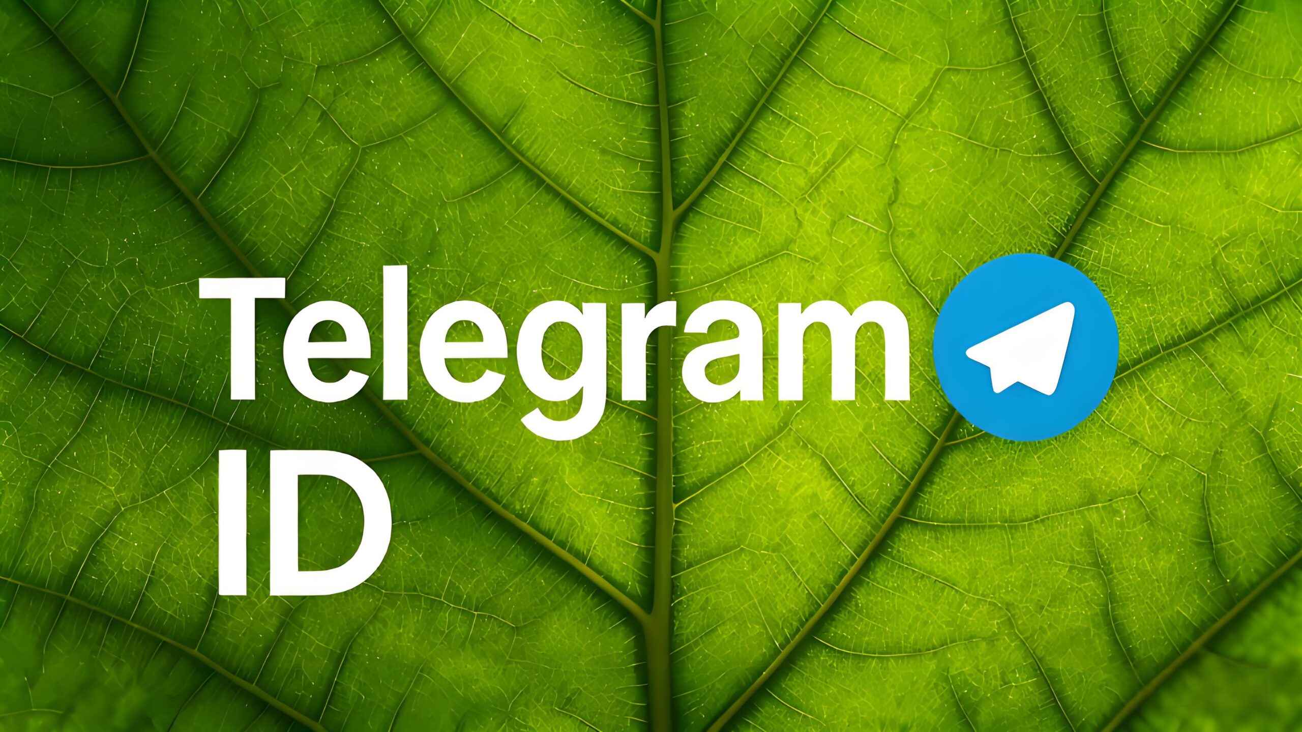 如何查找TelegramID？