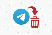 Telegram存储文件在哪?新手必看完整教学-Telegram中文官网 - 纸飞机中文资讯网