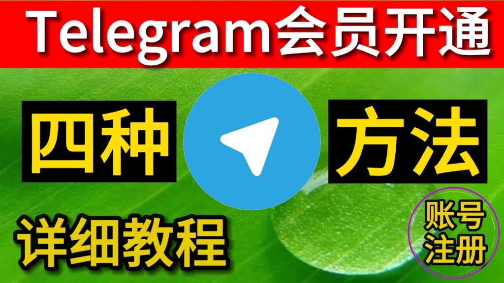 Telegram会员注册详细步骤